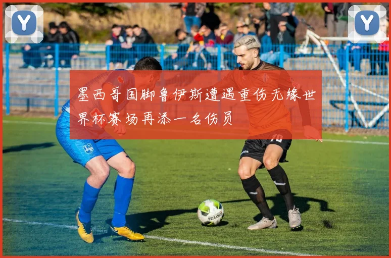 墨西哥国脚鲁伊斯遭遇重伤无缘世界杯赛场再添一名伤员